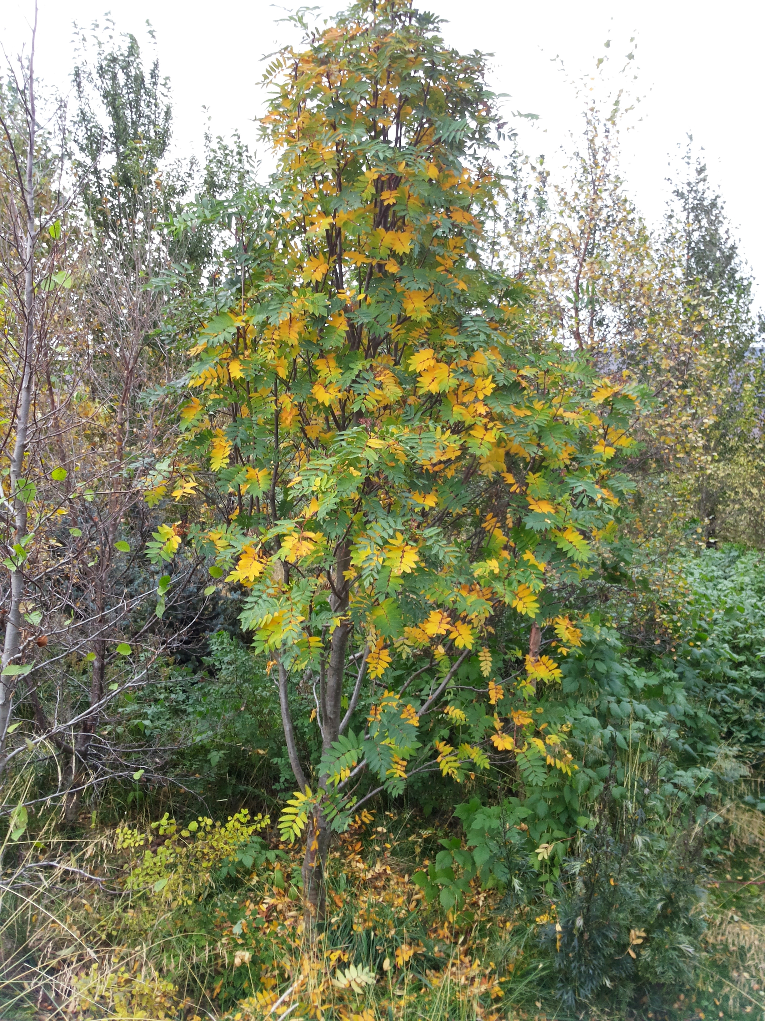 2014-09-24 15.11.17.jpg